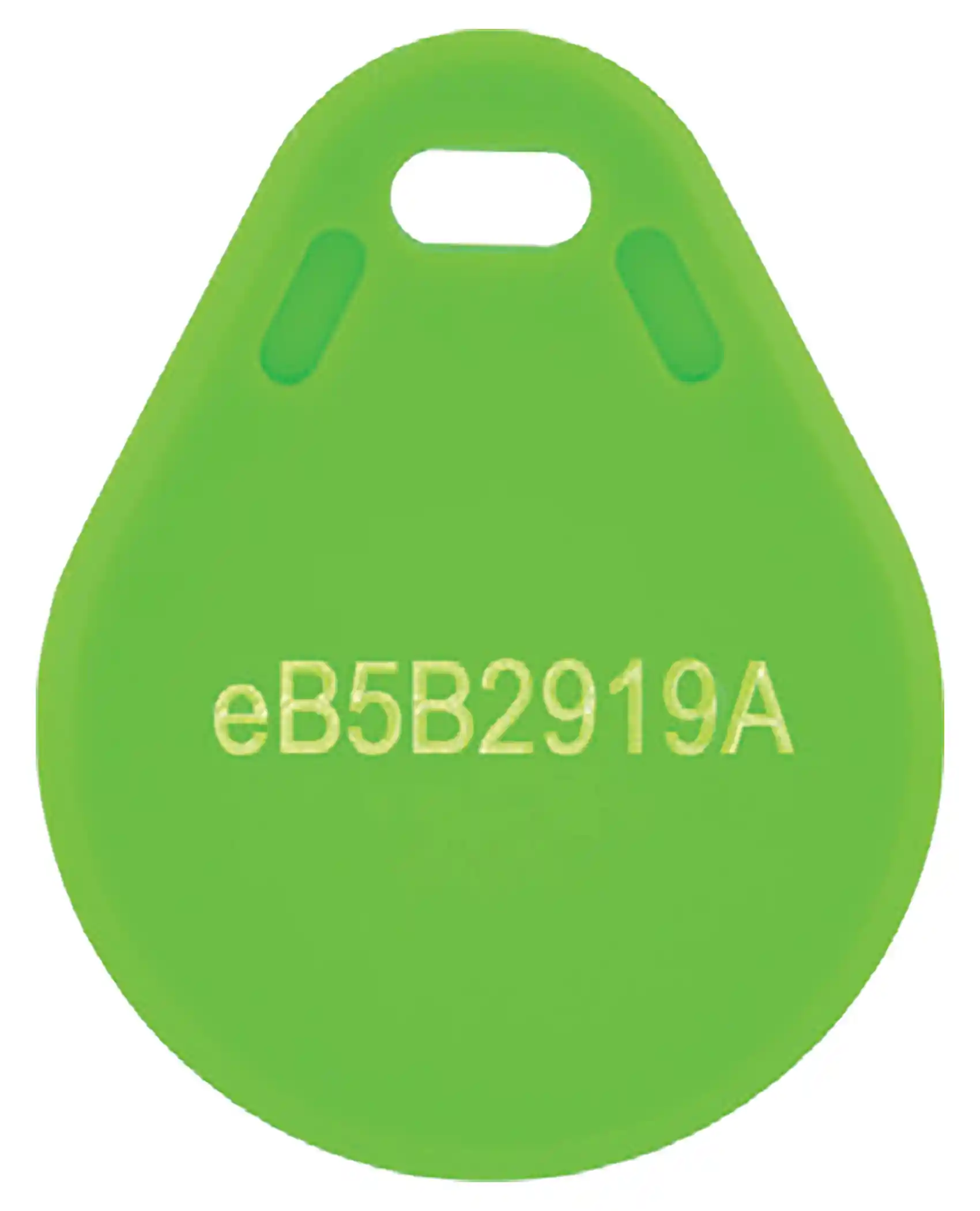 Tag RFID codigo fijo verde 1356Khz (Cada llavero posee codigo diferente) RF1356LLFIVE Tag RFID codigo fijo verde 1356Khz (Cada llavero posee codigo diferente) RF1356LLFIVE